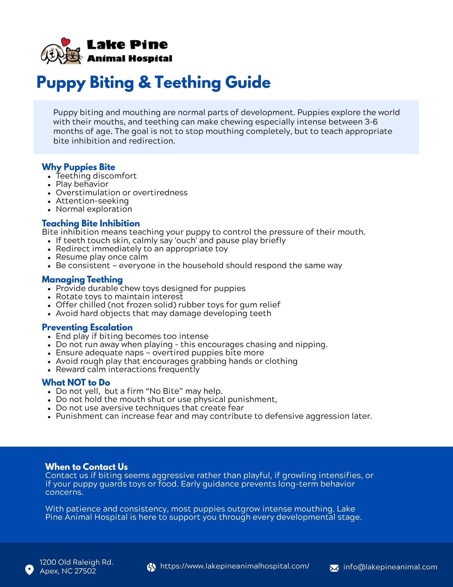 Puppy Biting & Teething