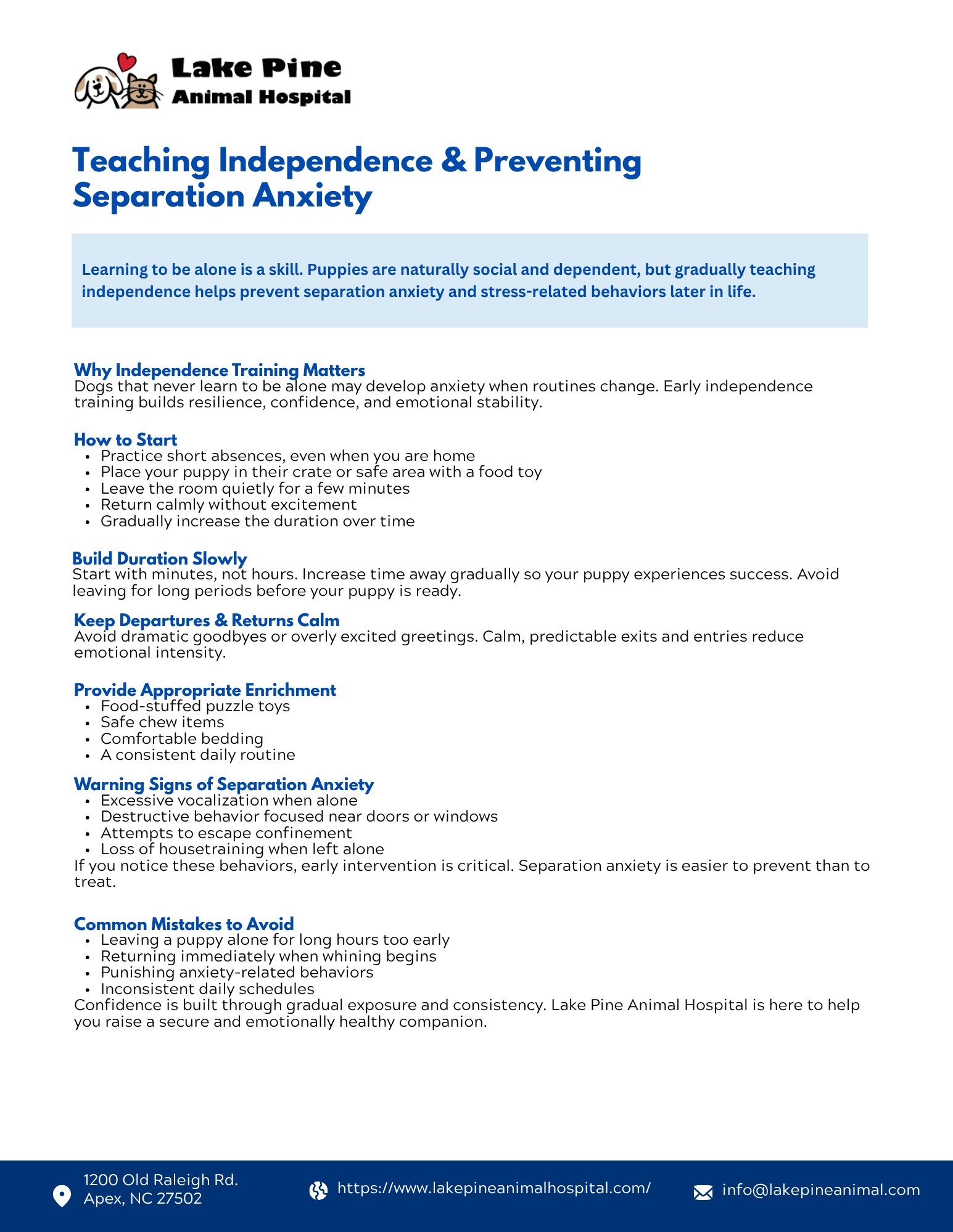 Teaching Independence & Preventing Separation Anxiety