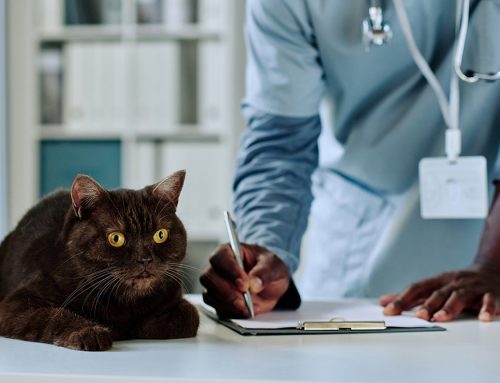 Why We Handle Prescriptions the Way We Do